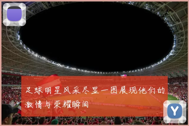 足球明星风采尽显一图展现他们的激情与荣耀瞬间