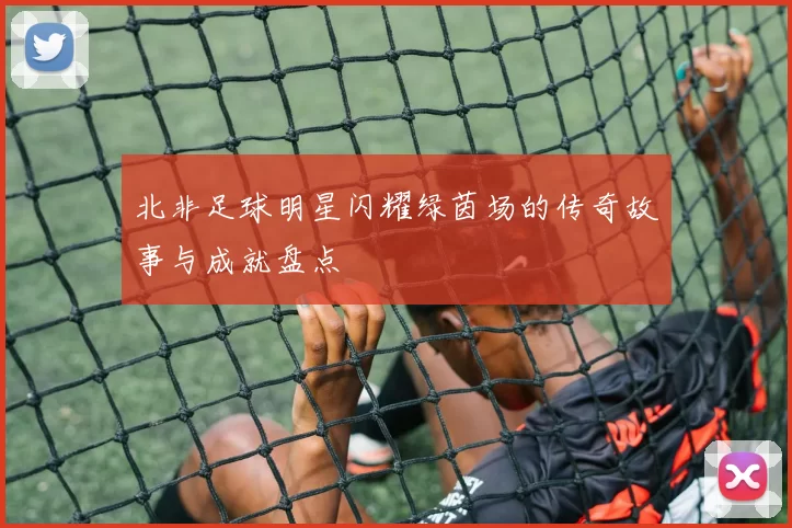 北非足球明星闪耀绿茵场的传奇故事与成就盘点