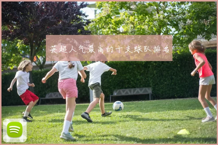 英超人气最高的十支球队排名