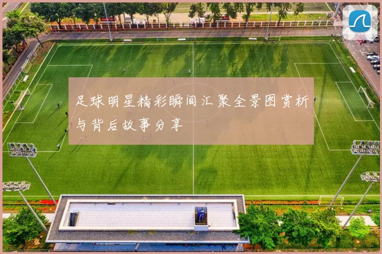 足球明星精彩瞬间汇聚全景图赏析与背后故事分享