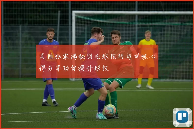 吴丽独家揭秘羽毛球技巧与训练心得分享助你提升球技