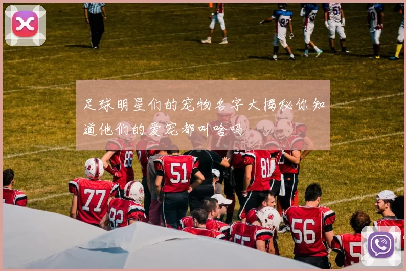 足球明星们的宠物名字大揭秘你知道他们的爱宠都叫啥吗