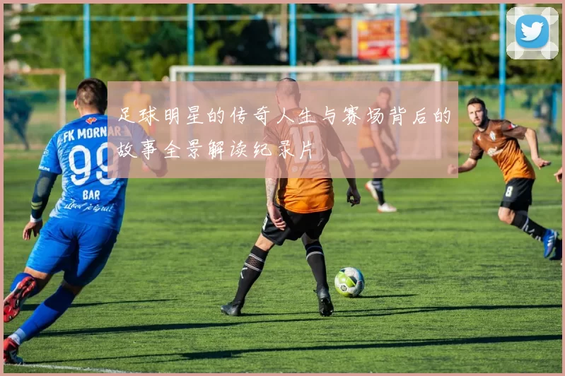 足球明星的传奇人生与赛场背后的故事全景解读纪录片