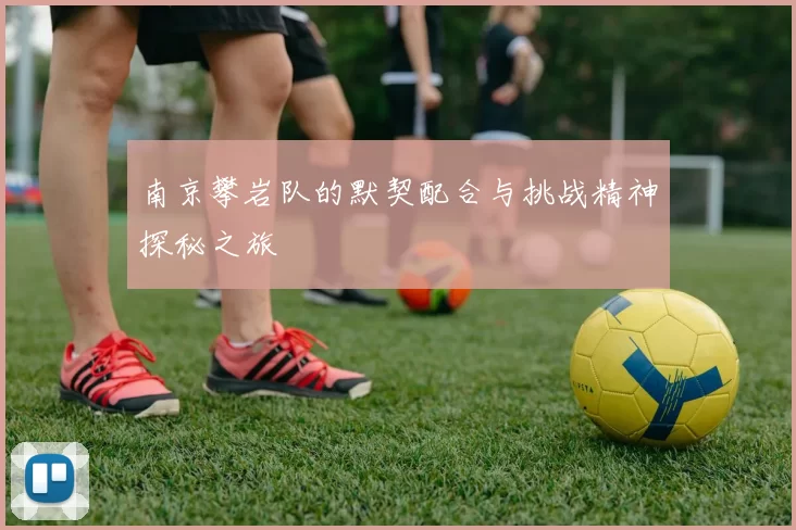南京攀岩队的默契配合与挑战精神探秘之旅