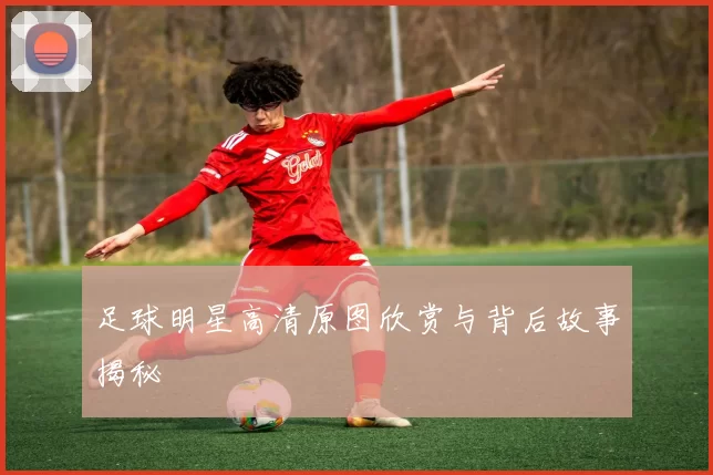 足球明星高清原图欣赏与背后故事揭秘