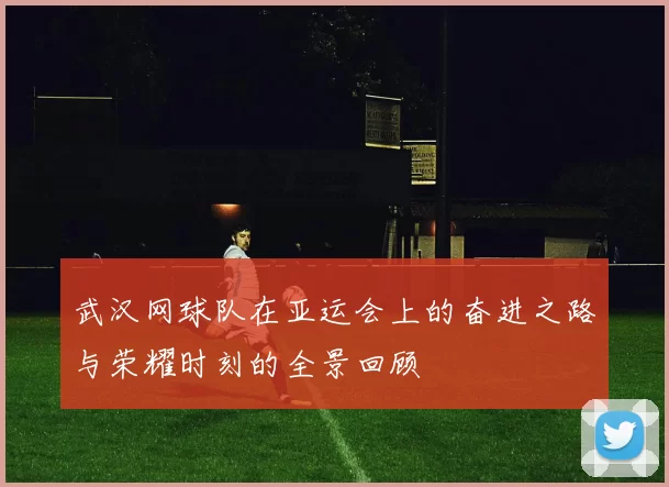 武汉网球队在亚运会上的奋进之路与荣耀时刻的全景回顾
