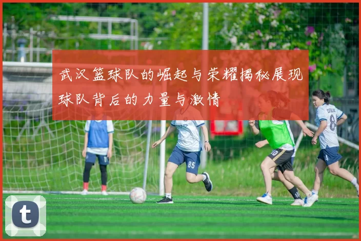 武汉篮球队的崛起与荣耀揭秘展现球队背后的力量与激情