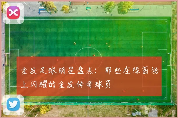 金发足球明星盘点：那些在绿茵场上闪耀的金发传奇球员