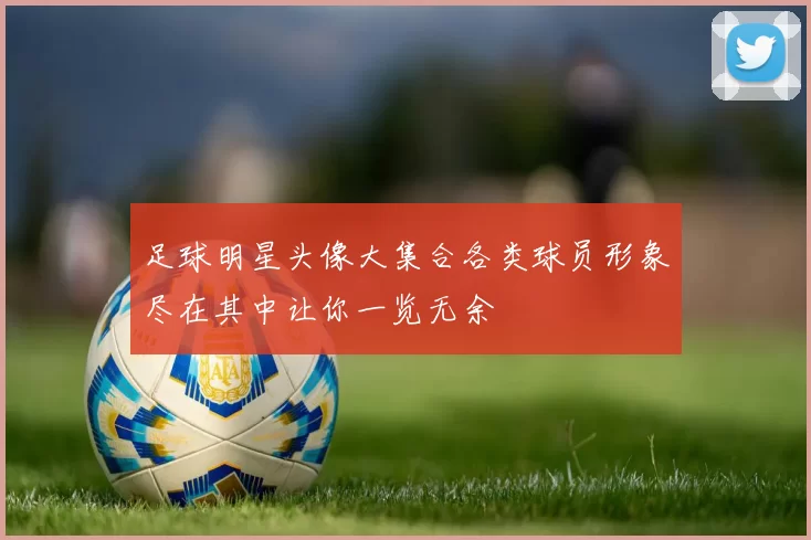 足球明星头像大集合各类球员形象尽在其中让你一览无余