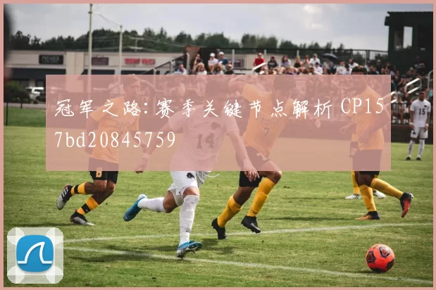 冠军之路:赛季关键节点解析 CP157bd20845759