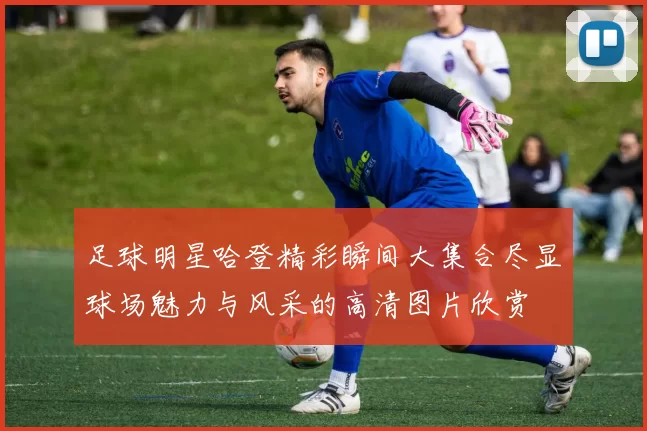 足球明星哈登精彩瞬间大集合尽显球场魅力与风采的高清图片欣赏