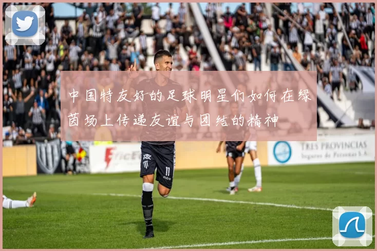 中国特友好的足球明星们如何在绿茵场上传递友谊与团结的精神