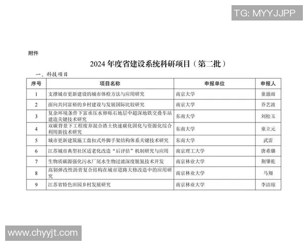 探索个人项目的全流程管理与创新实践路径解析