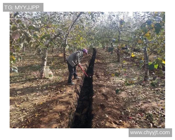 果园生态循环与可持续发展研究:从种植到管理的综合实践与创新探索