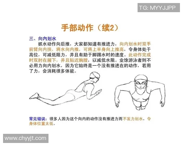 蛙泳技巧详解：从基础动作到提高速度的训练方法与注意事项